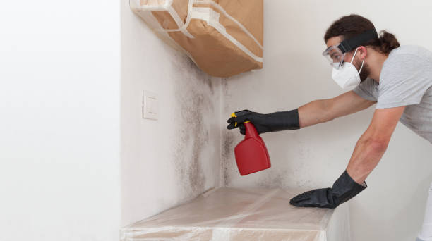 Professional Crawl Space Mold Remediation technician working in Woodstock, MD