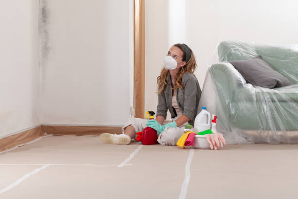 Reliable Crawl Space Mold Remediation contractor in Woodstock, MD by Mold Remediation HQ